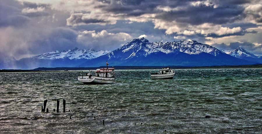 Ushuaia: Beagle Channel Boat Tour and Penguin Experience - Key points at a glance