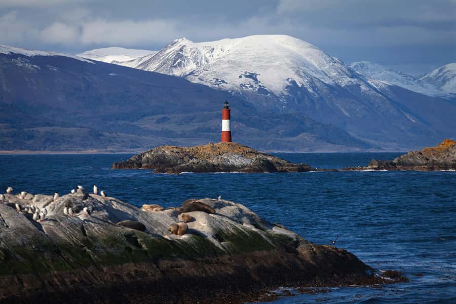 Ushuaia: Beagle Channel Boat Tour and Penguin Experience - Two possible orders, one long day