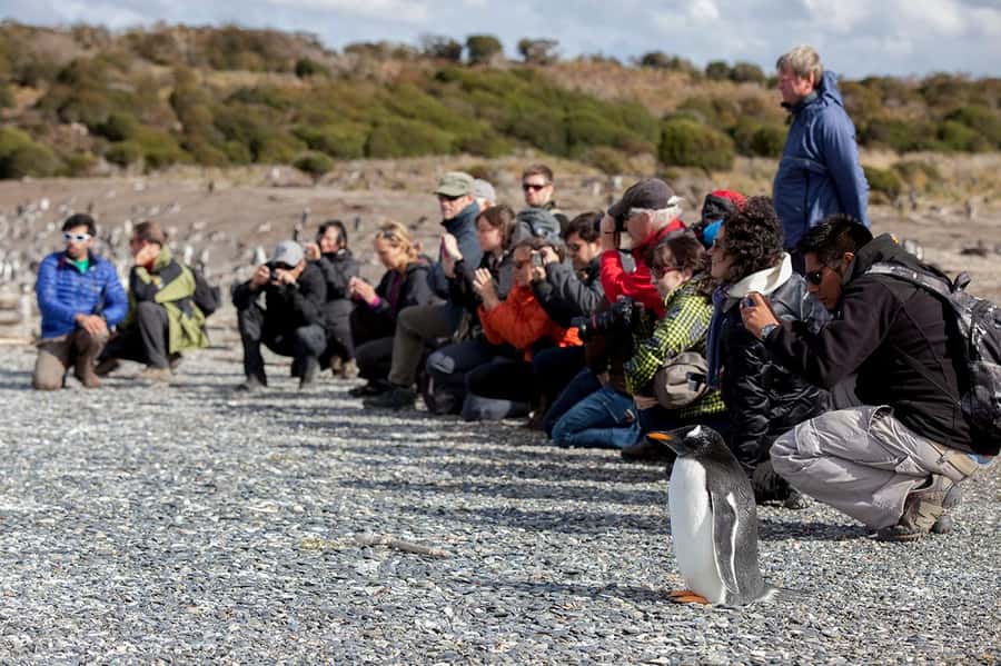 Ushuaia: Beagle Channel Boat Tour and Penguin Experience - What the guides add