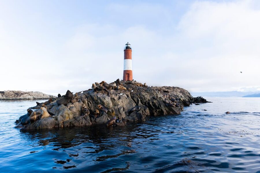 Ushuaia: Beagle Channel Catamaran Tour - Is $78 a good value for Ushuaia?