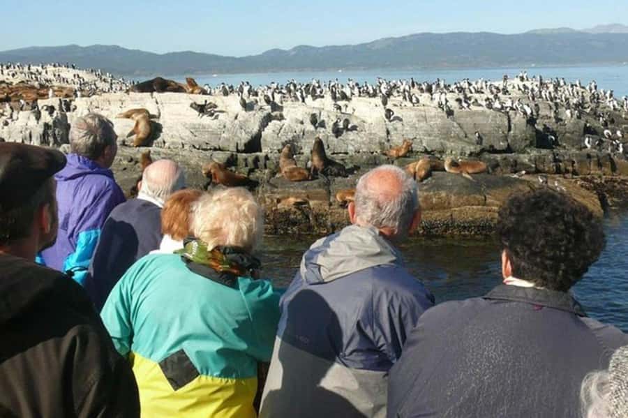 Ushuaia: Beagle Channel Penguin Colony Tour - Setting out from Ushuaia on the Beagle Channel