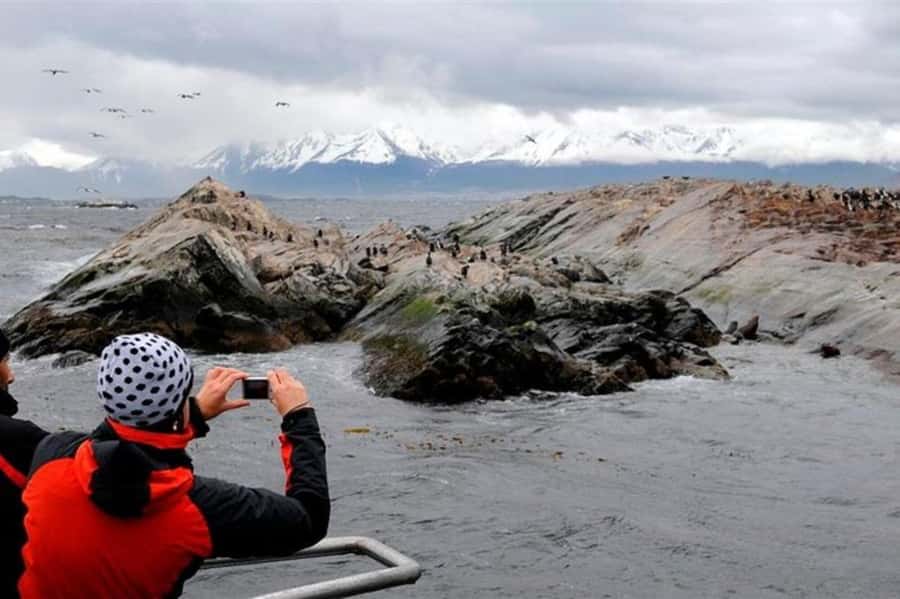Ushuaia: Beagle Channel Penguin Colony Tour - Isla de los Lobos and the sea lions