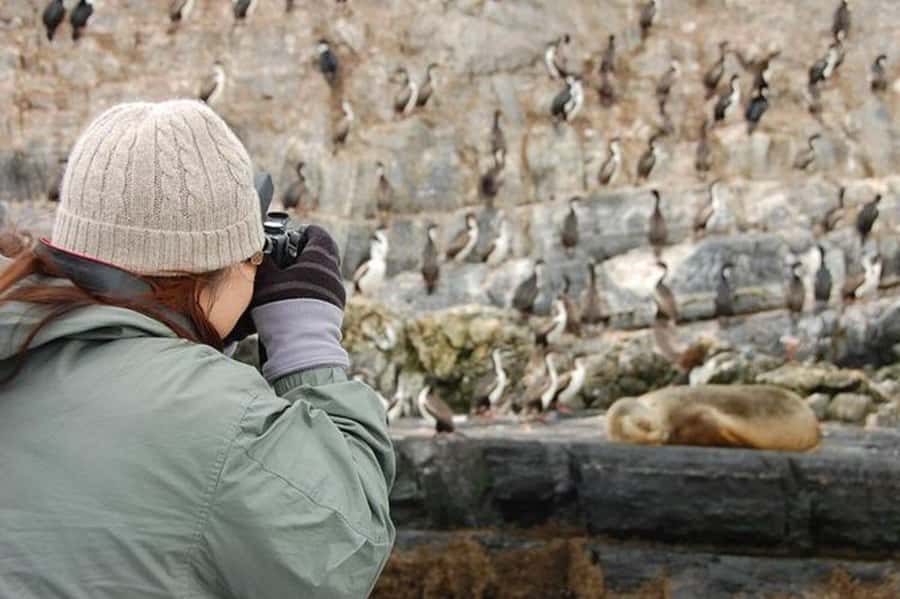 Ushuaia: Beagle Channel Penguin Colony Tour - The guide, language, and pace of the day