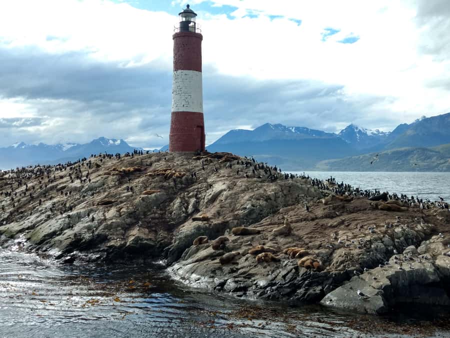 Ushuaia: Beagle Channel & Sea Wolves Island Catamaran Cruise - Sea Lion Island and the wildlife highlight