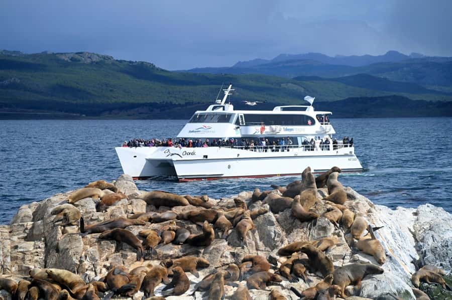Ushuaia: Beagle Channel, Seal Island & Bridges Islands Tour - Stepping ashore on Karelo Island