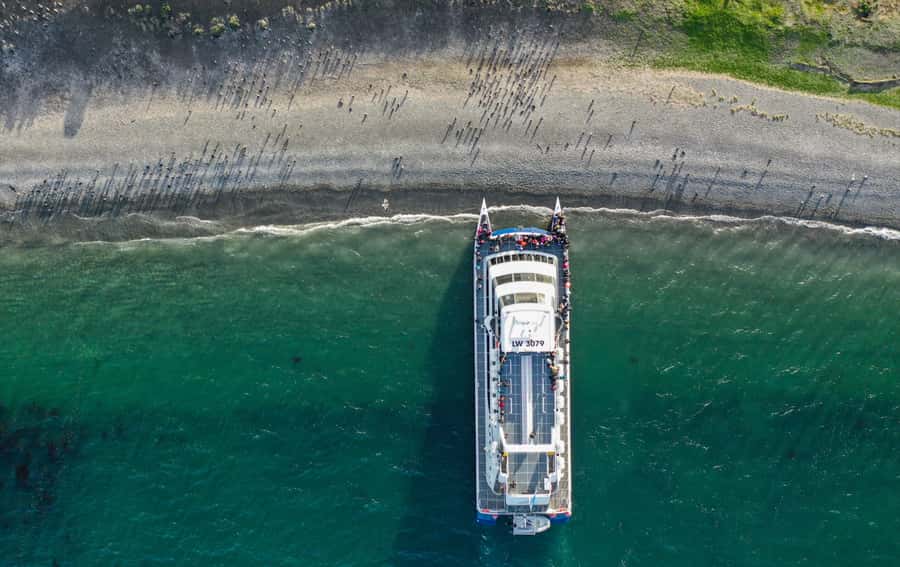 Ushuaia: Catamaran Sailing to Penguin Island - Key points to know before sailing