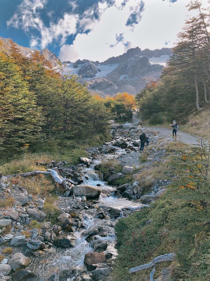 USHUAIA | City Tour + Martial Glacier Reserve - Martial Glacier Reserve: the main event