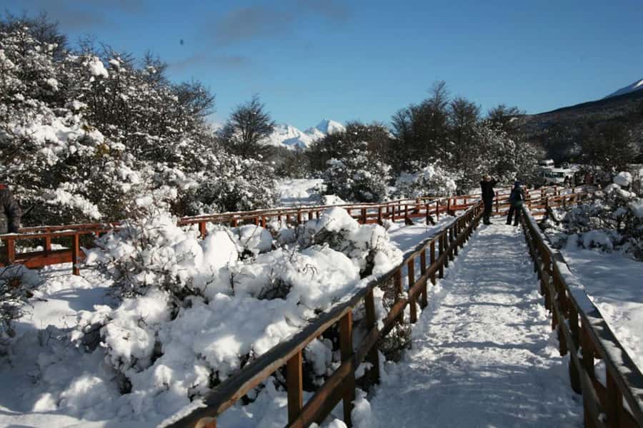 Ushuaia: End of the World Train Ride & Tierra del Fuego Park - What the $140 price really includes