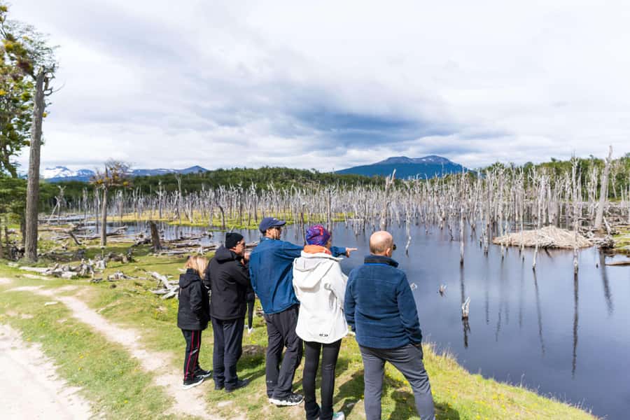 Ushuaia: Escondido & Fagnano Lakes Tour AM - Lunch on the Way Back to Ushuaia