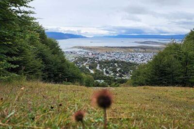LANDSCAPES AND DELIGHTS – CITY TOUR