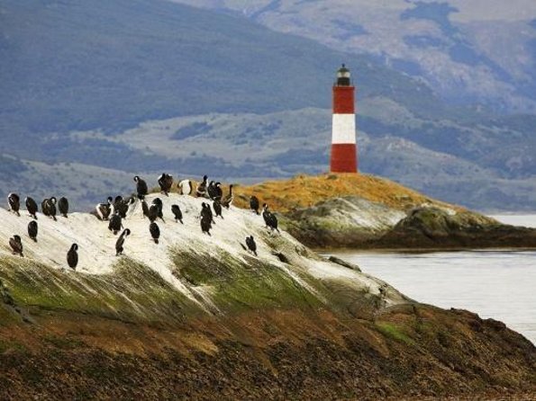 Ushuaia: Martillo Island and Walk Among Penguins Full-Day Tour - Key Things to Know Before You Book