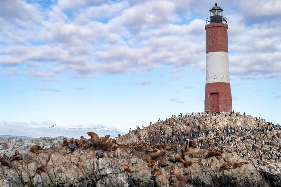 USHUAIA | Navigation: Sea Lions, Birds and Lighthouse - Who will enjoy this Ushuaia cruise?