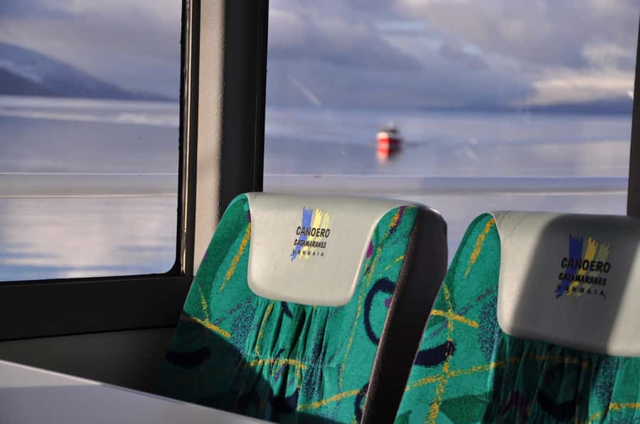 Ushuaia: Penguin Watching Tour by Catamaran - Who should book this catamaran?