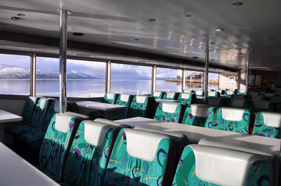 Ushuaia: Penguin Watching Tour by Catamaran - Martillo Island: the main event