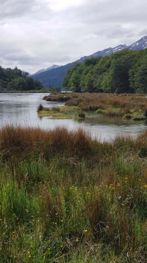 Ushuaia: Private Tour Tierra del Fuego National Park - What the $450 price really means