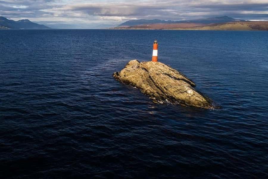 Ushuaia: Sailing Beagle Channel to the Penguin Colony - Los Pajaros Island and the bird life