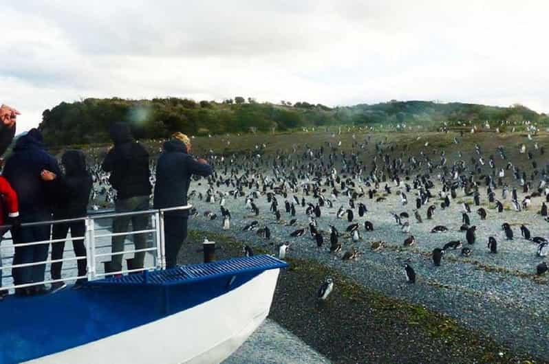 Ushuaia: Sailing Beagle Channel to the Penguin Colony - Les Eclaireurs Lighthouse from the water