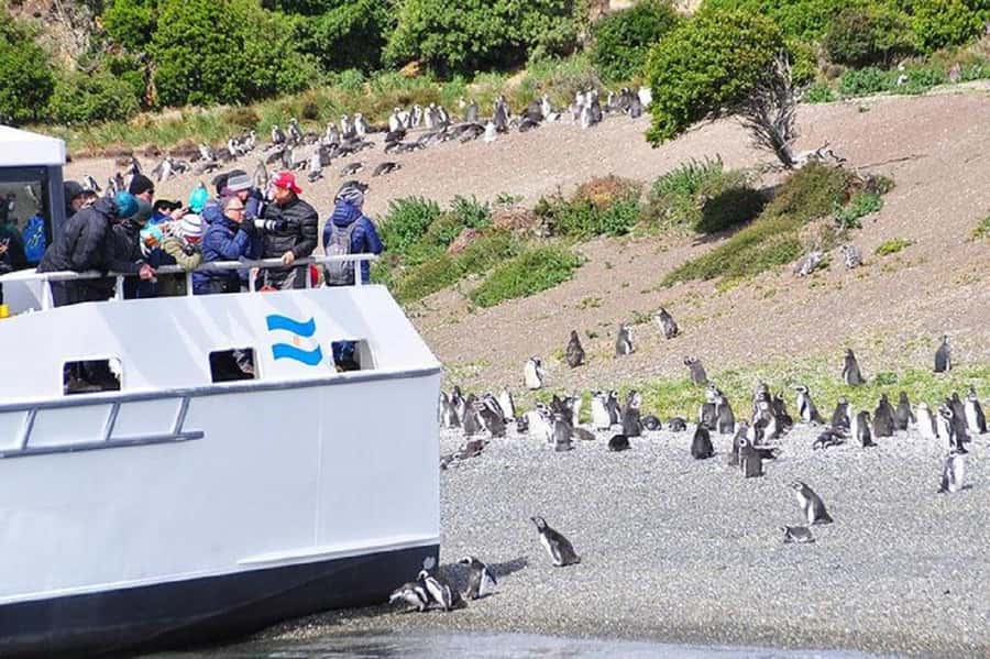 Ushuaia: Sailing Beagle Channel to the Penguin Colony - Gable Island and the view toward Puerto Williams