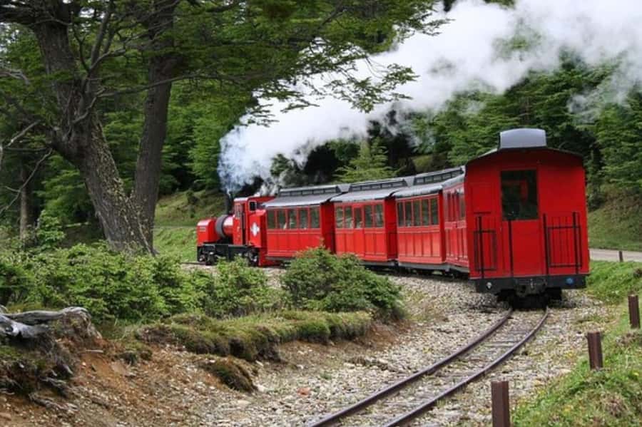 Ushuaia: Shared Experience "Tierra del Fuego" National Park - Who should take this park tour?