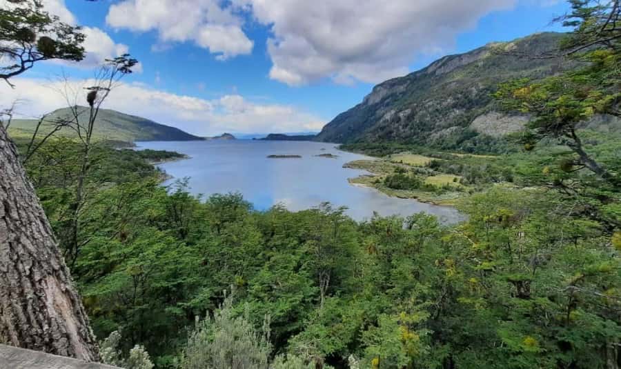 Ushuaia: Tierra del Fuego National Park Half-Day Tour - Ensenada Bay, available in summer
