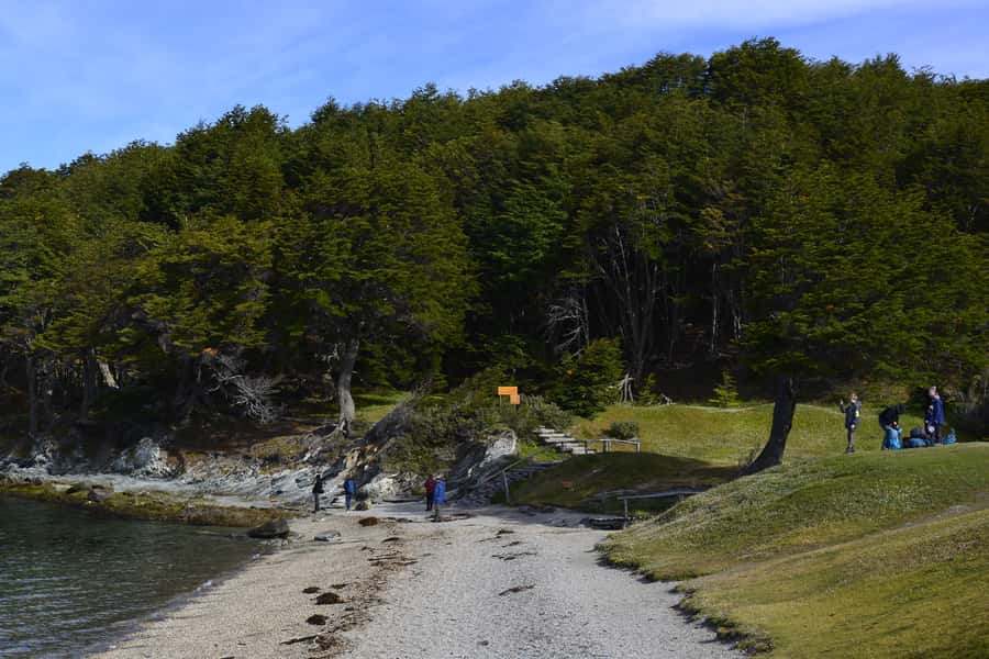 Ushuaia: Tierra del Fuego National Park Shore Excursion - Key points to know before booking