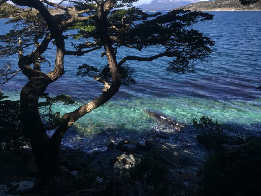 Ushuaia: Tierra del Fuego National Park Tour with Lunch - Acigami Lake Lunch Break