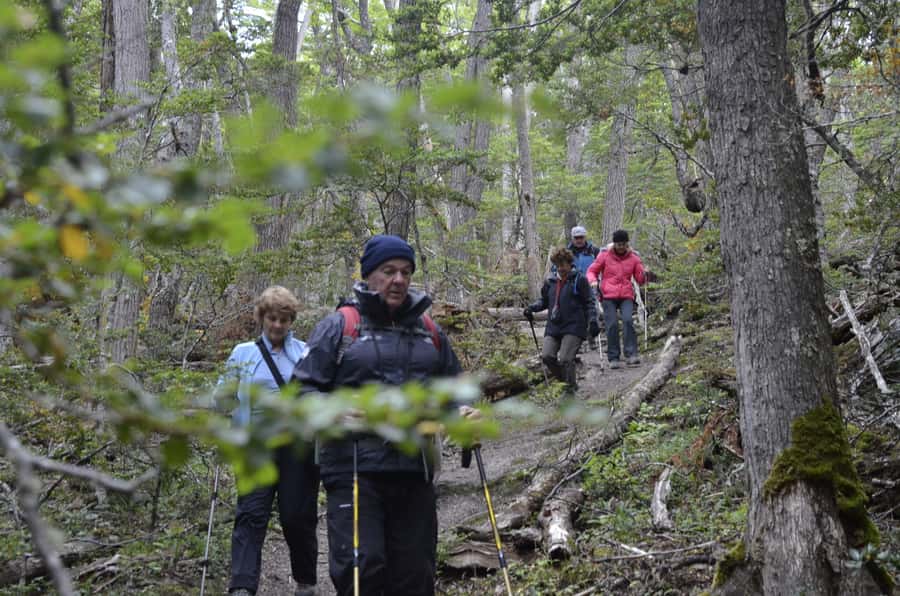 Ushuaia: Tierra del Fuego Trekking and Canoeing - Paddling the Lapataia and Ovando Rivers