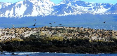 Tour: Beagle Channel Navigation