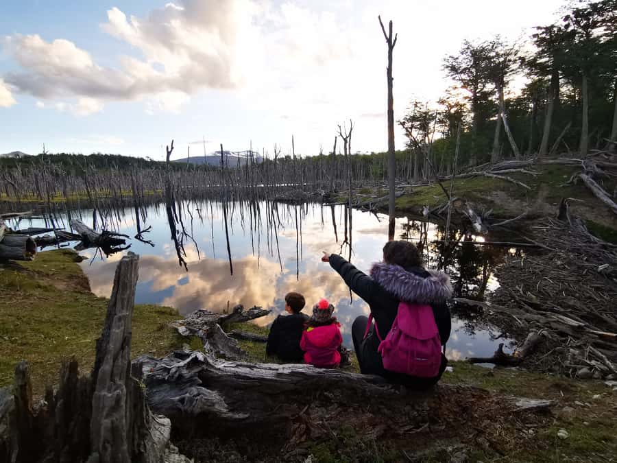 Ushuaia: Visit to Escondido and Fagnano Lakes PM - Key Things to Know Before You Go