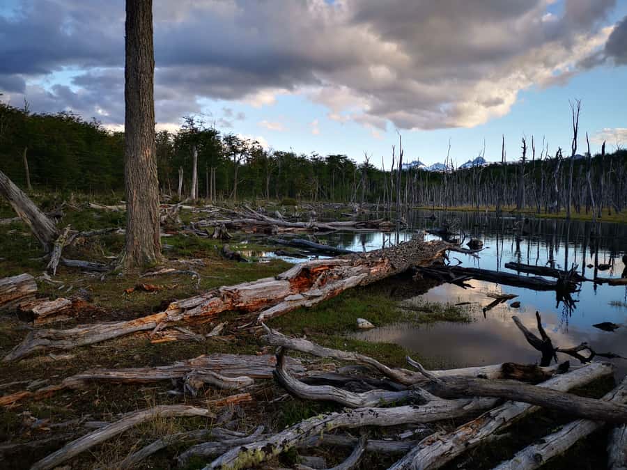 Ushuaia: Visit to Escondido and Fagnano Lakes PM - The Country House and Its Horseback Past