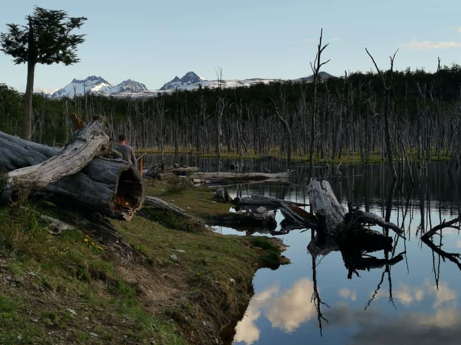 Ushuaia: Visit to Escondido and Fagnano Lakes PM - Is $80 a Fair Price?