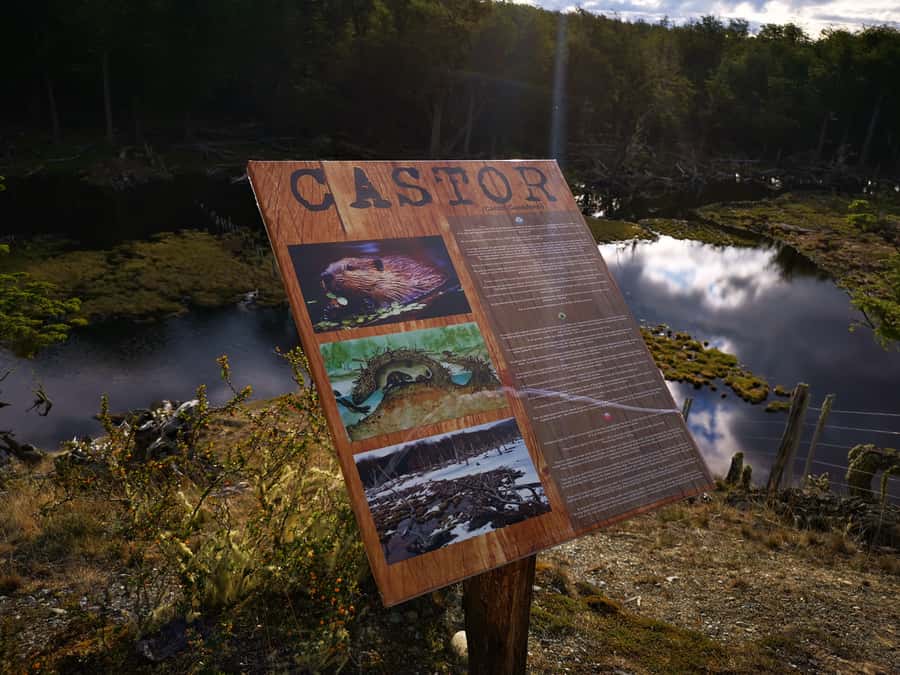 Ushuaia: Visit to Escondido and Fagnano Lakes PM - Who Will Like This Afternoon Tour?