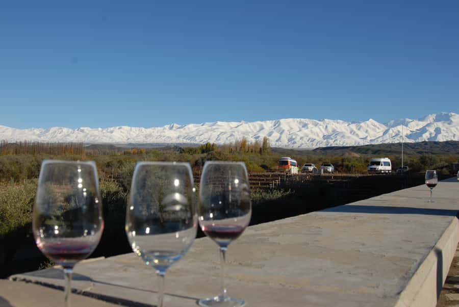 Valle de Uco: Private Full Day Wine Tour with 3-Course Lunch - Choosing Between the Three Winery Plans