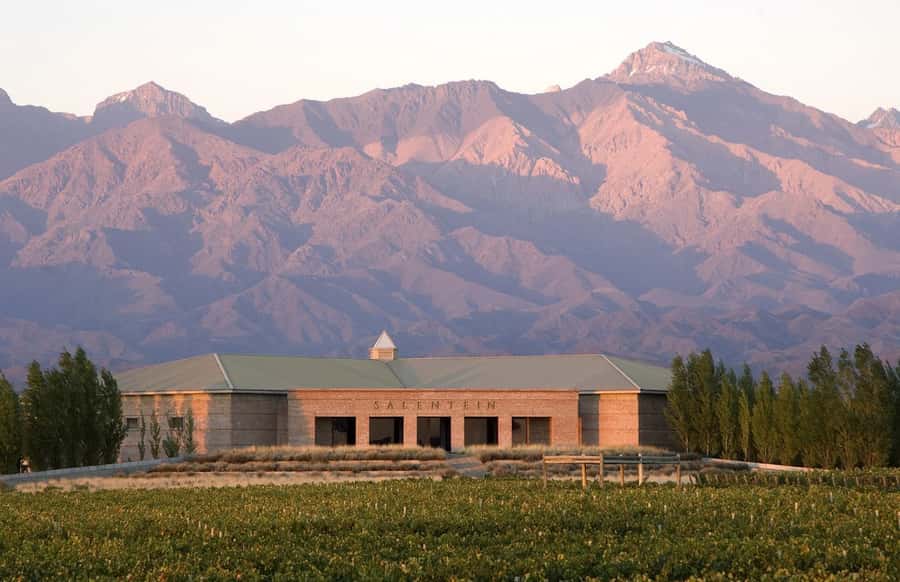 Valle de Uco: Private Full Day Wine Tour with 3-Course Lunch - A Three-Course Lunch With Reserve Wines