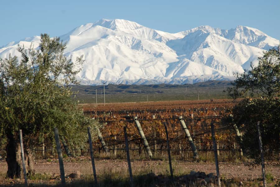 Valle de Uco: Private Full Day Wine Tour with 3-Course Lunch - Pickup, Timing, and the Main Practical Risk