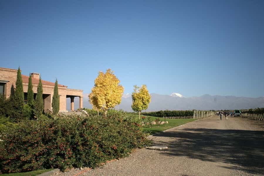 Valle de Uco: Private Full Day Wine Tour with 3-Course Lunch - Premium Tastings in a Dramatic Setting