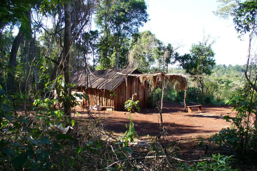 Visit Guarani village at Mborore Fort with brunch - The Reconstructed Guarani Village Setting