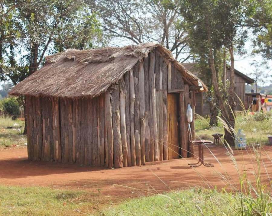 Visit Guarani village at Mborore Fort with brunch - Walking The Spirit Of Trees