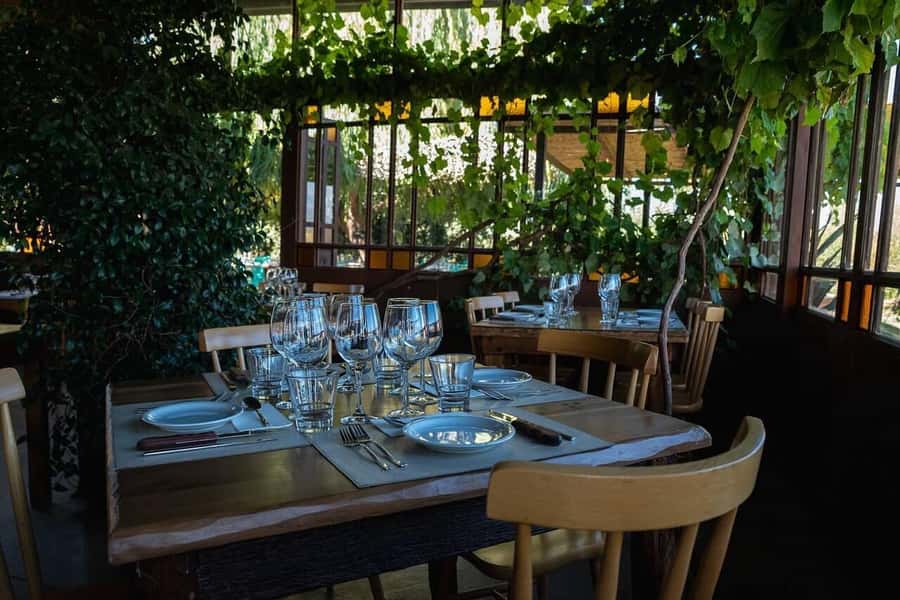 Visit & Tasting at Salentein + Lunch at La Azul - The 1.5-hour ride from Mendoza