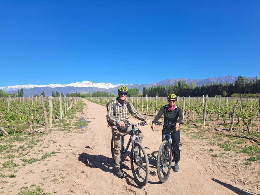 Wine and Chocolate Bike Tour: ride, taste, lunch, vineyards. - Why this Mendoza day works so well
