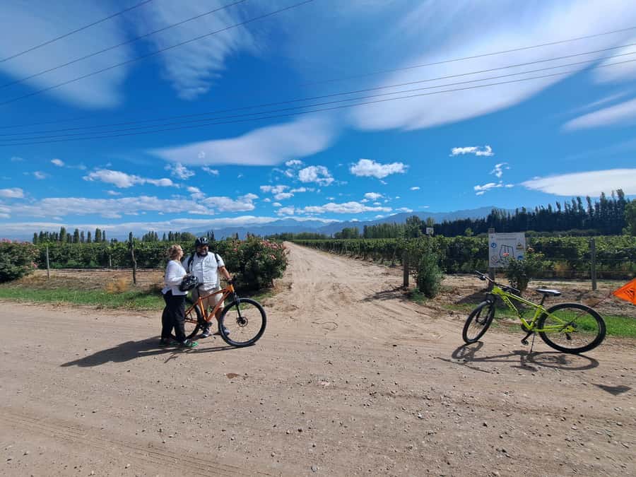 Wine and Chocolate Bike Tour: ride, taste, lunch, vineyards. - Finca Bandini: the first vineyard lesson
