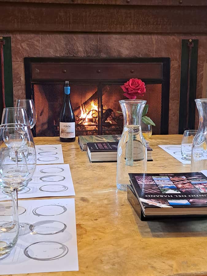 Wine and Chocolate Bike Tour: ride, taste, lunch, vineyards. - Durigutti Finca Victoria: gardens, water, and geese