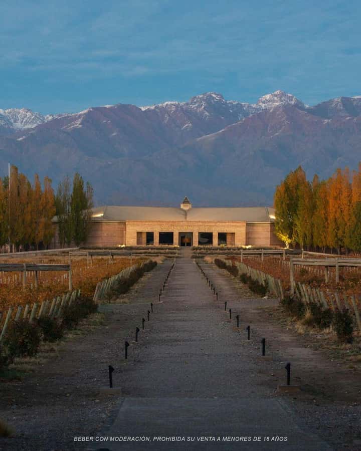 Wine Icons: Meet Salentein at the heart of Uco Valley - Why Salentein makes a strong Mendoza wine day