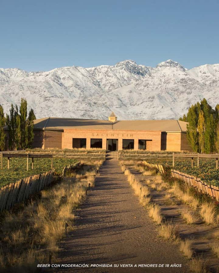Wine Icons: Meet Salentein at the heart of Uco Valley - Walking through the vineyards and winery