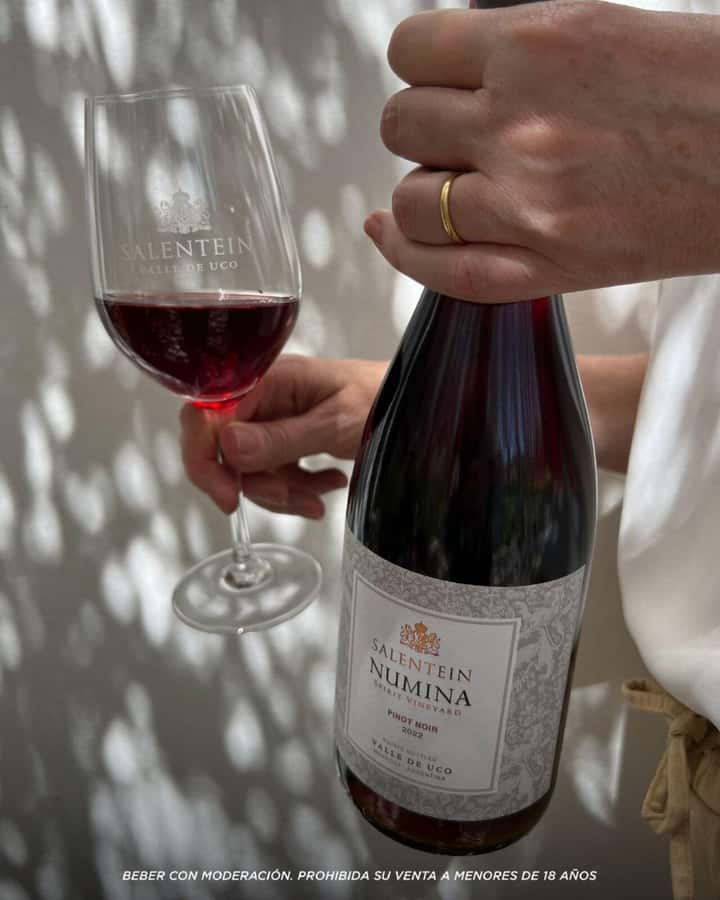 Wine Icons: Meet Salentein at the heart of Uco Valley - Adding regional lunch in the Uco Valley