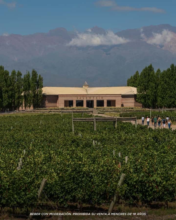 Wine Icons: Meet Salentein at the heart of Uco Valley - What the $160 price really includes