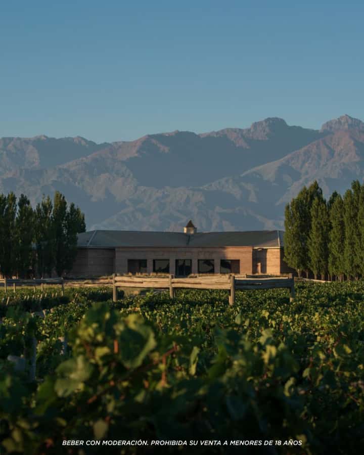 Wine Icons: Meet Salentein at the heart of Uco Valley - Practical ways to make the day better