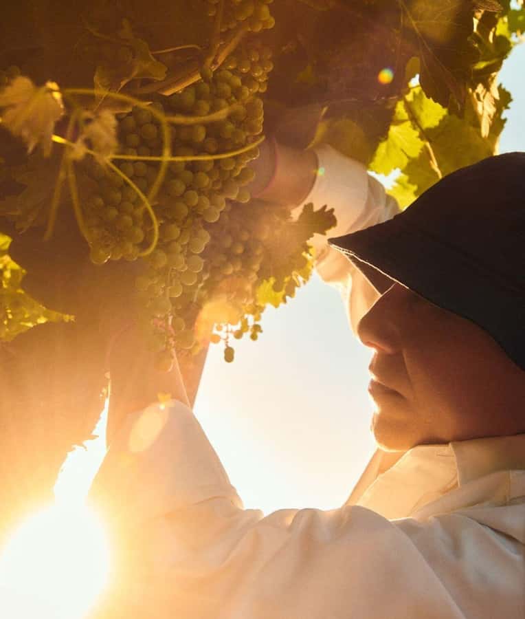 Wine Icons: Meet the sparkling world of Chandon - What the $122 price includes
