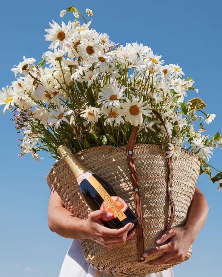 Wine Icons: Meet the sparkling world of Chandon - Language, access, and physical demands