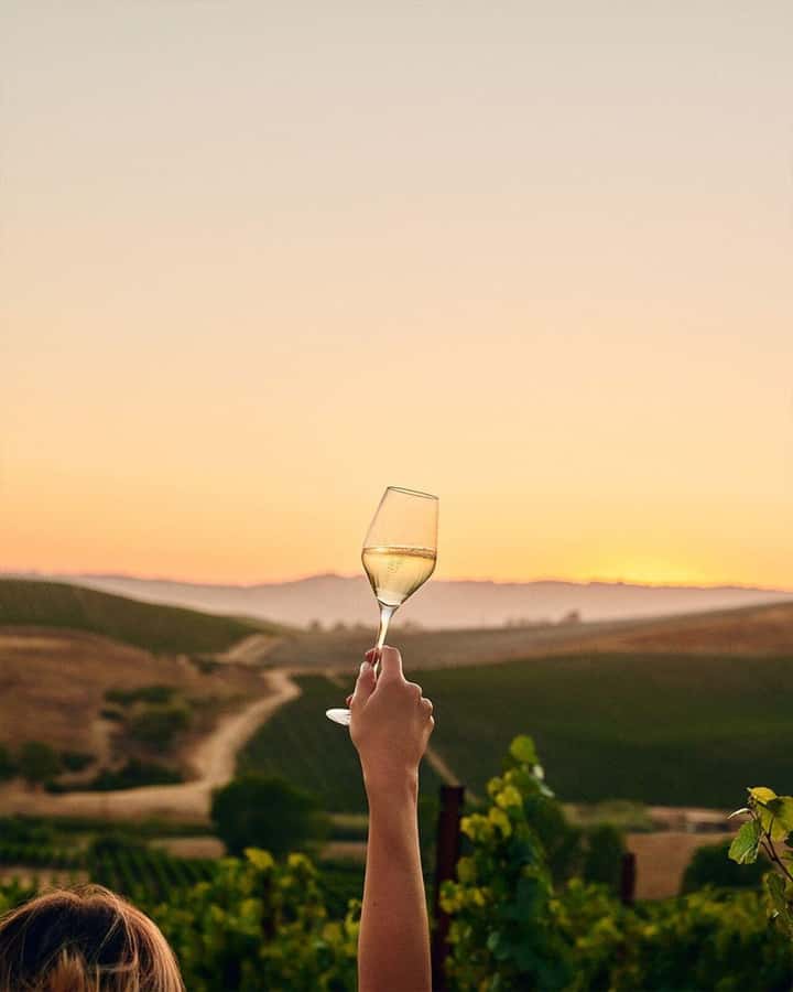 Wine Icons: Meet the sparkling world of Chandon - The 40-minute ride from Mendoza